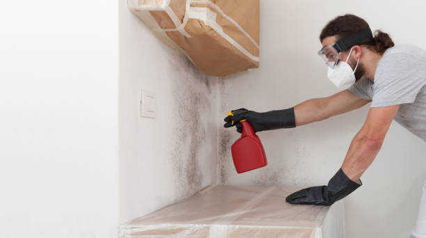 Professional Mold Remediation technician working in Livingston, NJ