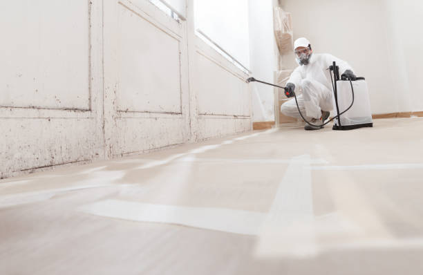 24/7 Emergency Mold Remediation experts in Livingston, NJ